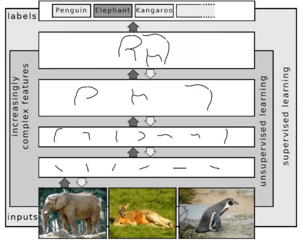 abstraction levels in deep learning