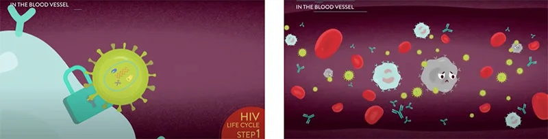 hiv life cycle illustration