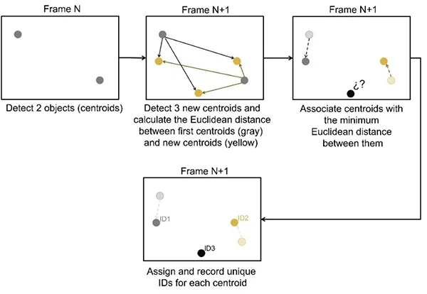 object tracking process