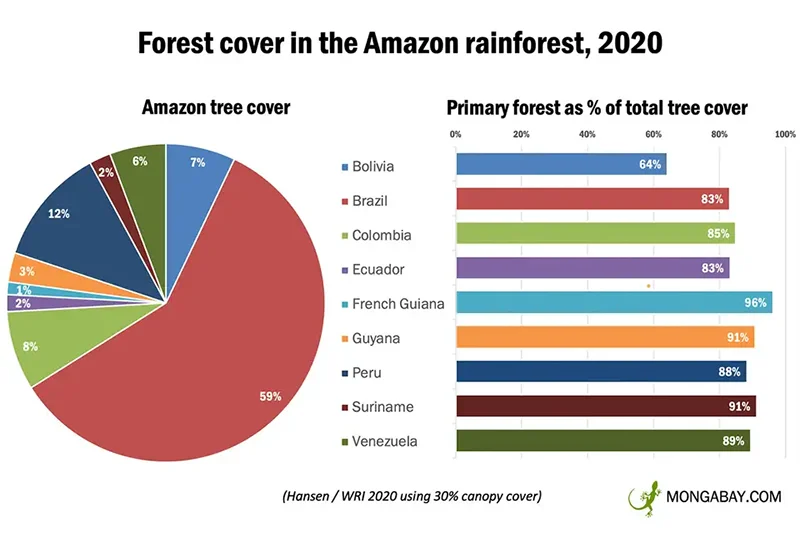 amazon forest cover per country