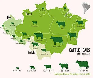 cattle heads diagram in south america