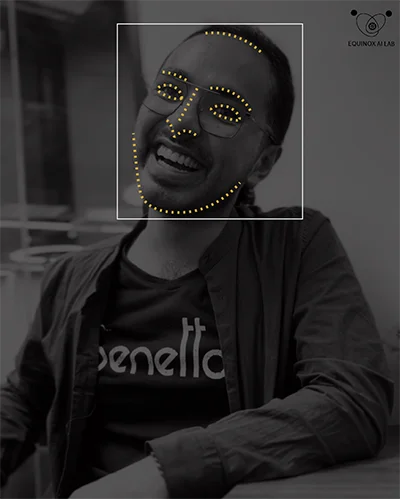 landmark detection example over a man's face