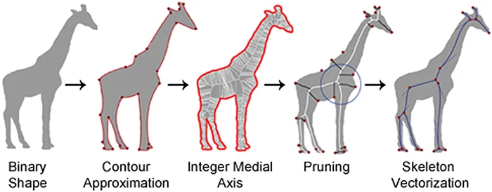 skeleton pruning by contour approximation and the integer medial axis transform