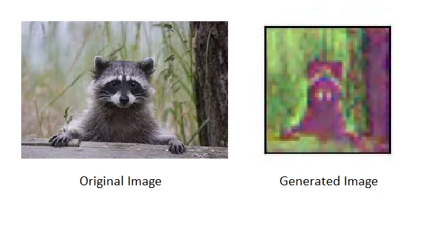 final racoon image of the integrated model