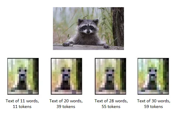 length comparison racoon example images