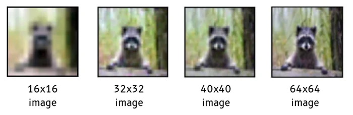 racoon prompt generation example