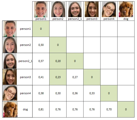 distance between vectors table with people photos