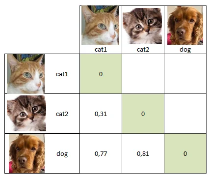 distance between vectors table with pets photos