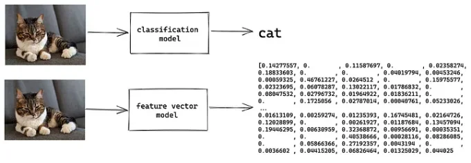 vector embedding of the image of a cat